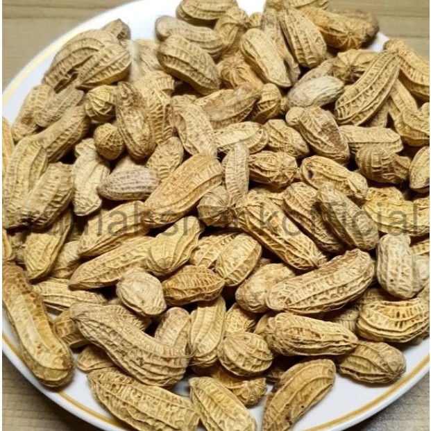 

Kacang Sangrai Kulit Super 1kg Kacang Kulit Oven