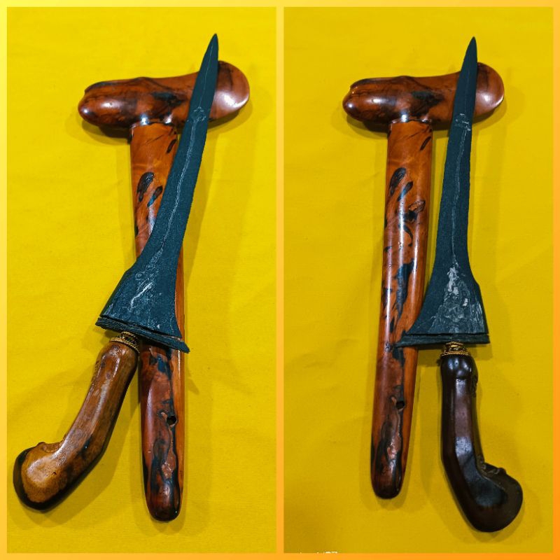 lintang kemukus kebo