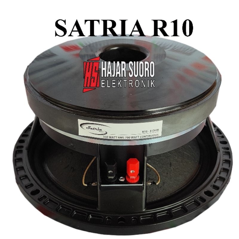 speaker satria 10 inch R10