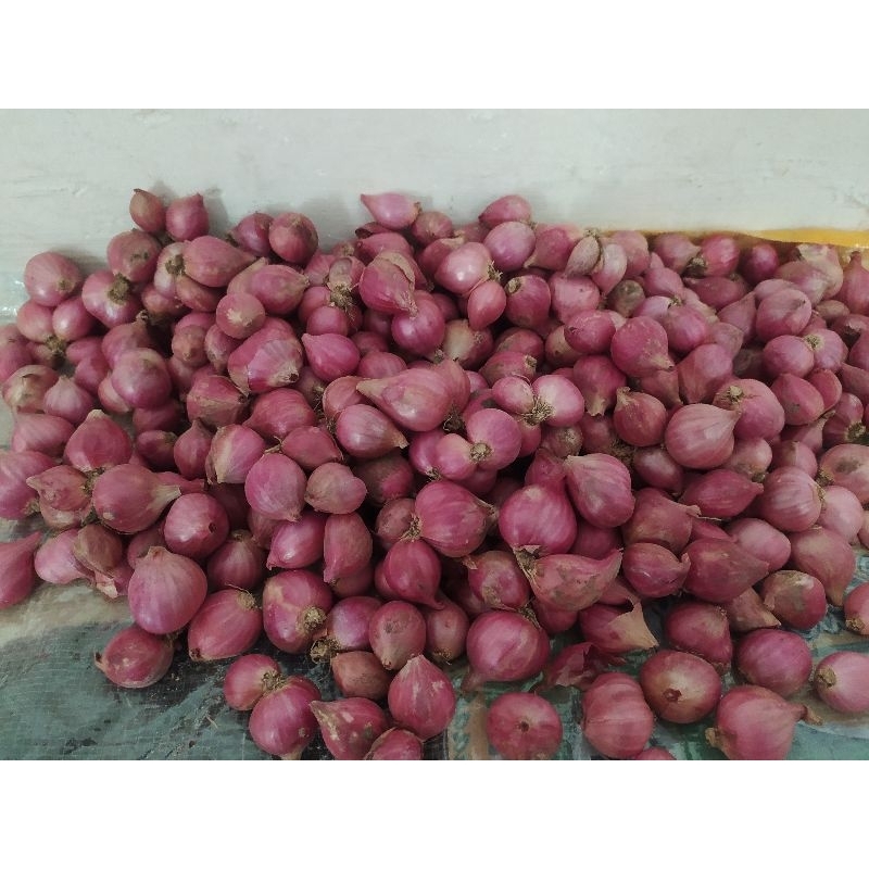 

BAWANG MERAH FRESH