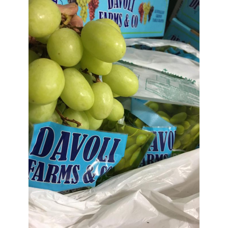 

PROMO Anggur Hijau PREMIUM / Anggur Super sweet Crispy