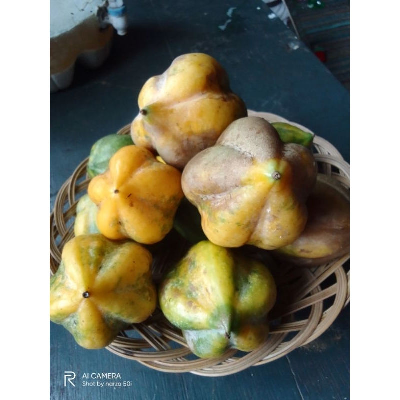 

buah carica khas dieng 500gr