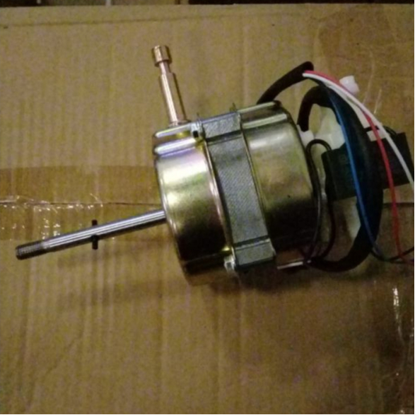 Dinamo Kipas Miyako / Dinamo Kipas