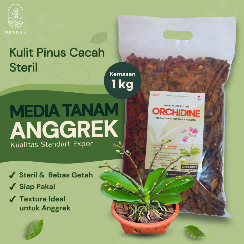 Media Anggrek - HUMUSARA Media Tanam Orchidine Media Anggrek Siap Pakai Kualitas Premium