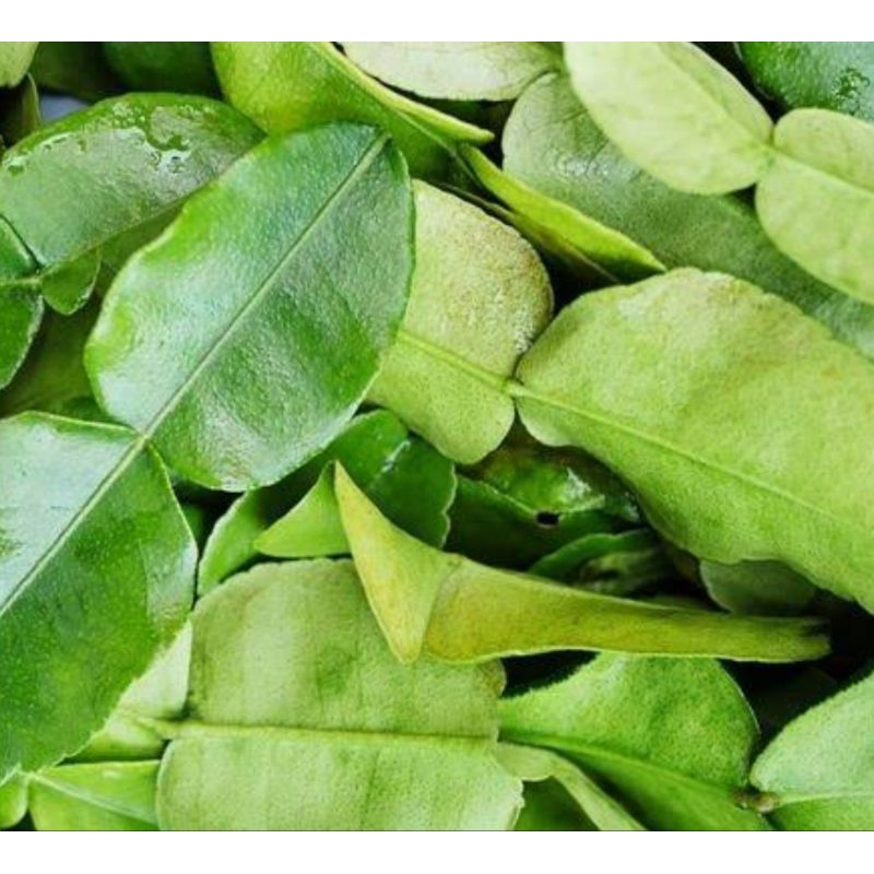 

daun jeruk