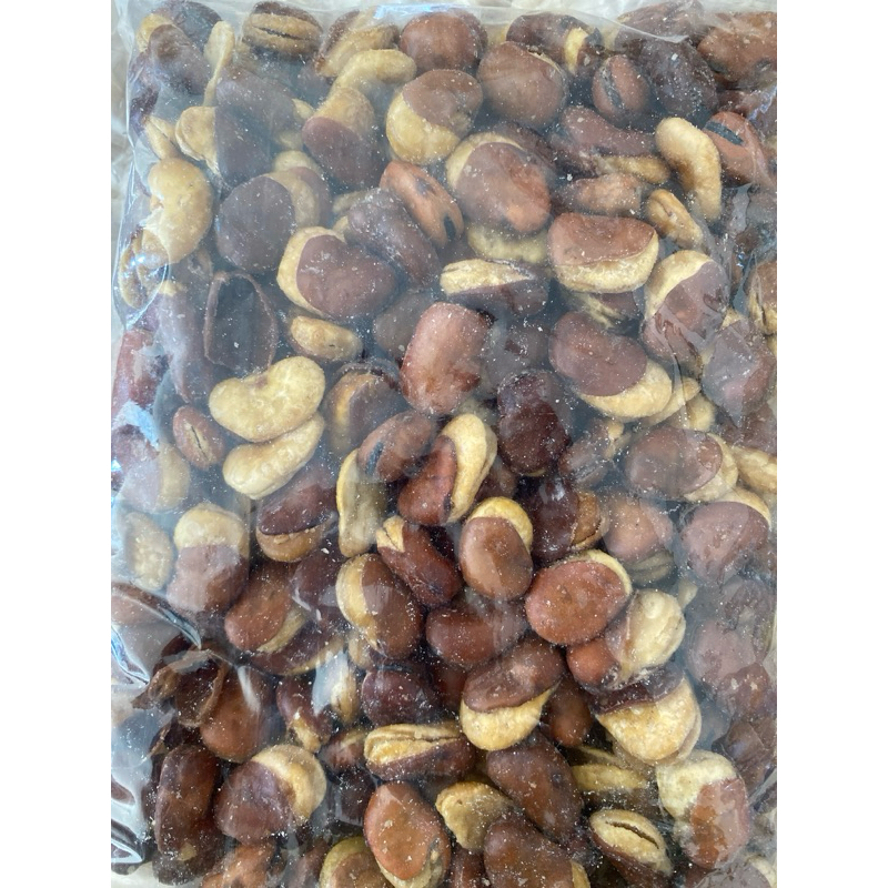 

KACANG MONYET/KACANG MENTE