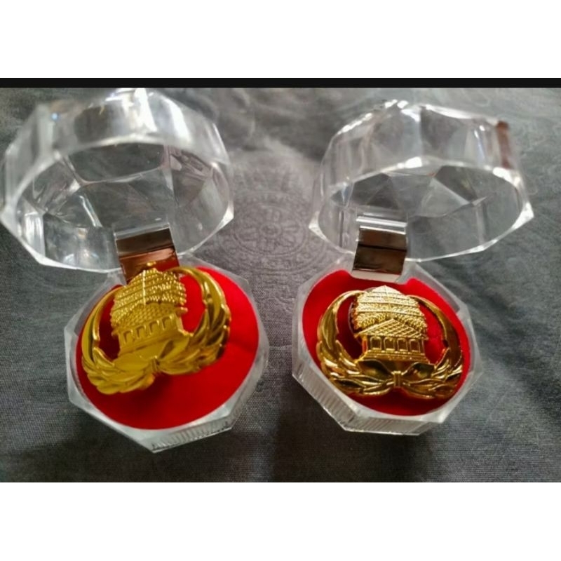 PIN KORPRI, PIN PNS, PIN ASN