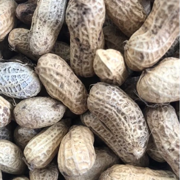 

Kacang Kulit Sangrai Super, full isi anti kopong kopong, Siap Makan, 1 liter