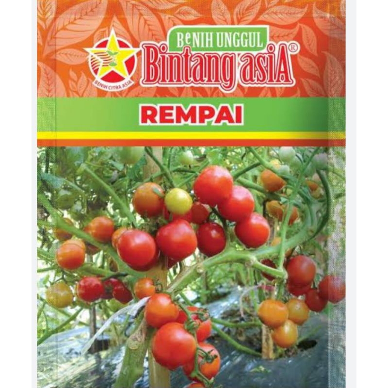 

Rampai (REMPAI) 10gr