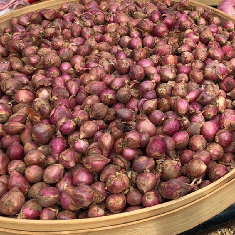 

bawang merah mantap jos /500 gr gram