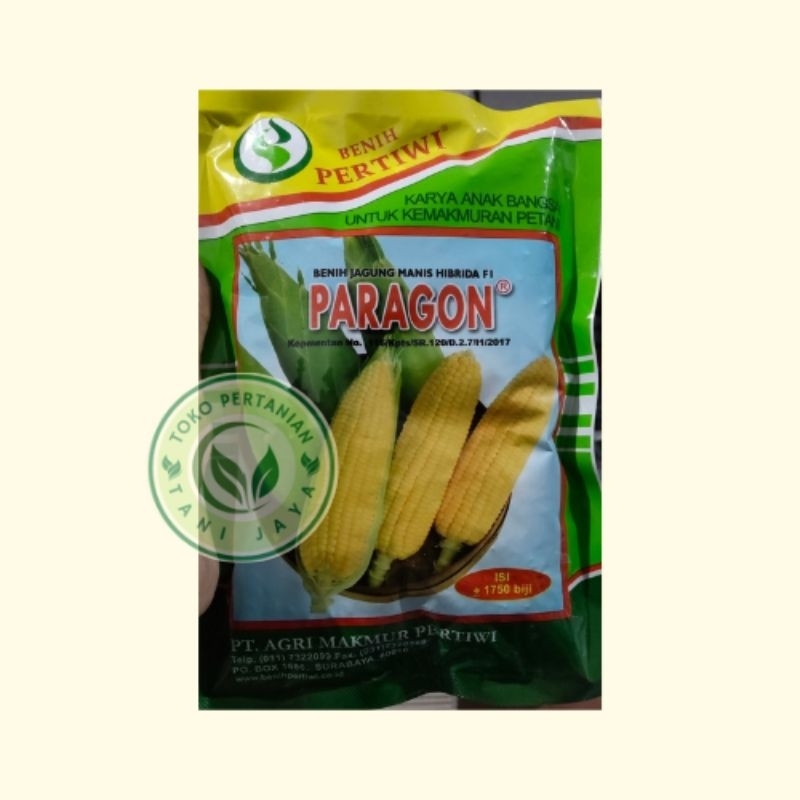 Benih Bibit Jagung Manis PARAGON Cap Pertiwi