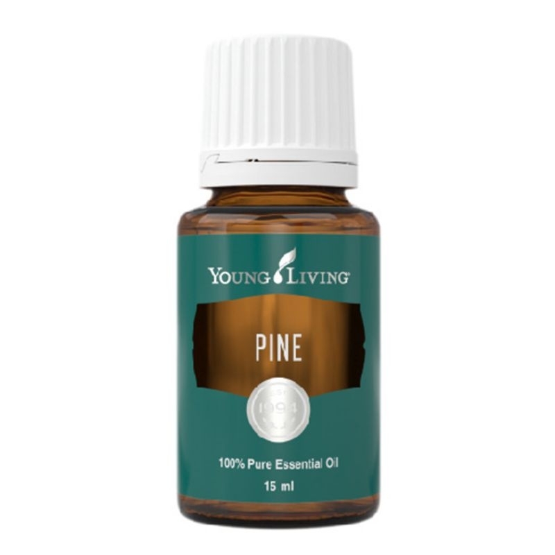Pine 15ml young living pine essential oil pine yleo