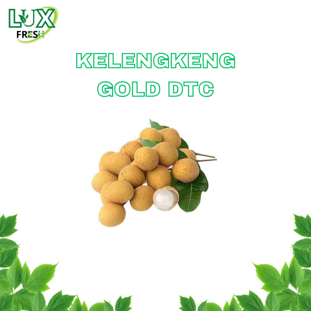 

KELENGKENG GOLD DTC UKURAN 1 KG DAN 500 GRAM BEST PRODUCT