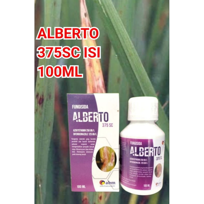 ALBERTO 375SC 100ML