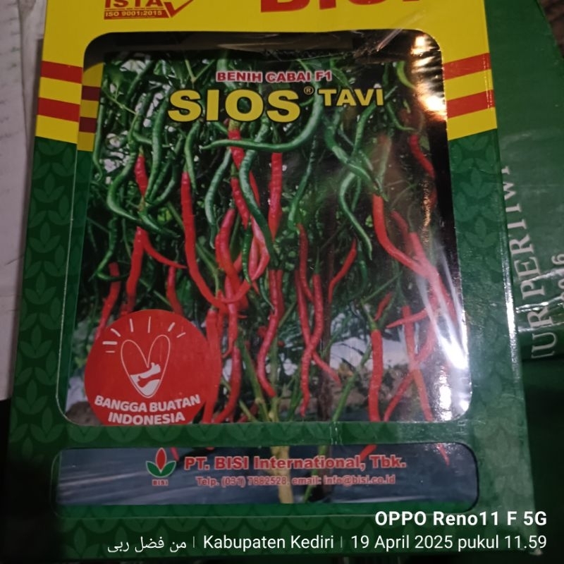 Fore sale 25% Benih Bibit Cabai Keriting hibrida F1 SIOS TAVI isi 10gr