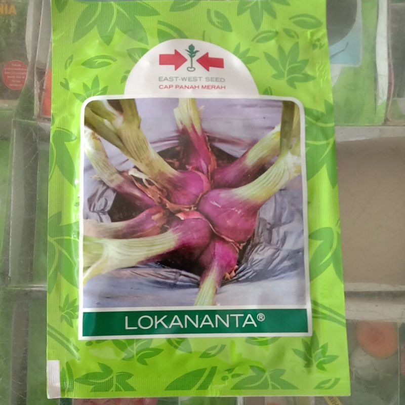 

BAWANG MERAH LOKANANTA 10 GR