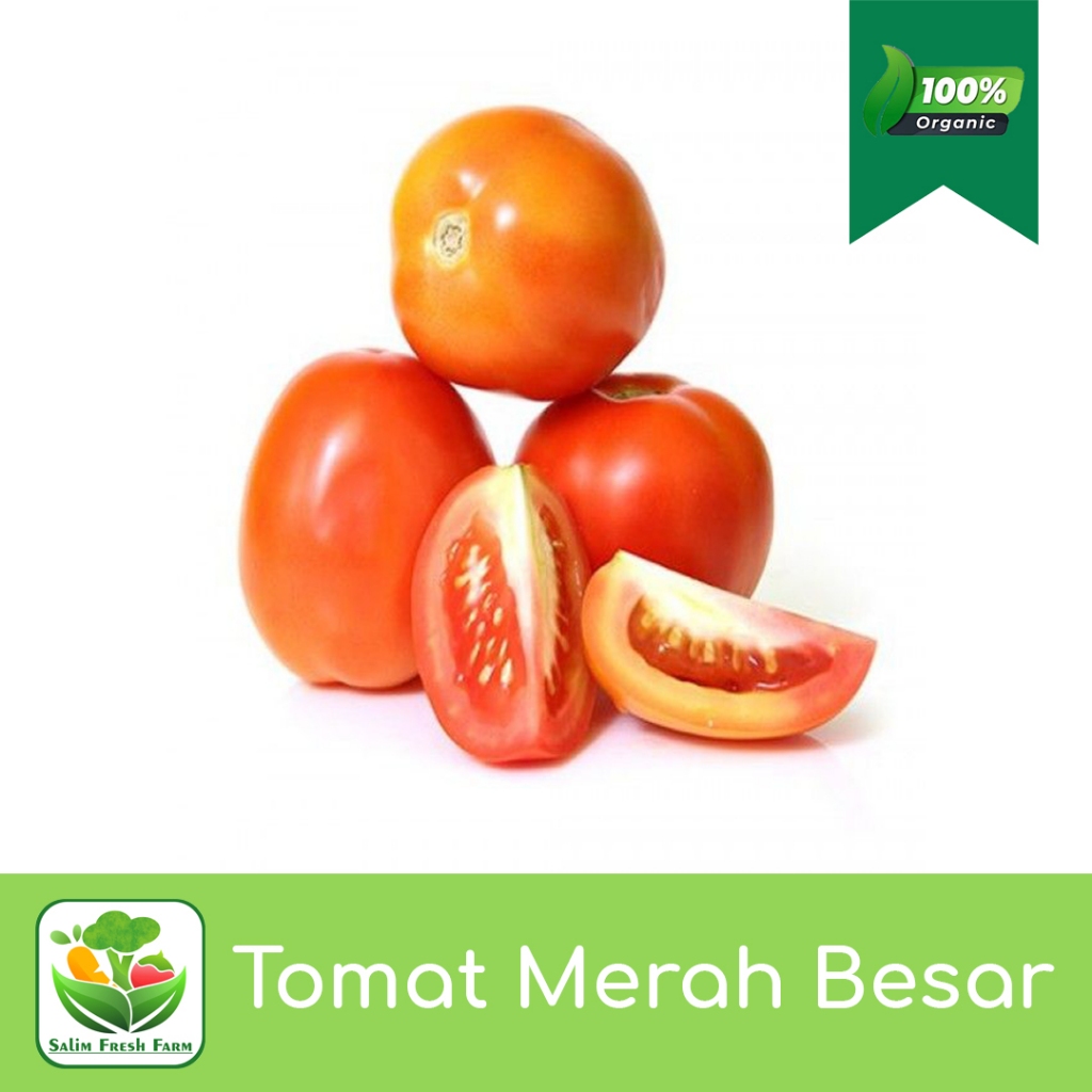 

Tomat Merah Besar / Tomat Merah 1kg / Tomat Merah Super / Tomat Merah Segar