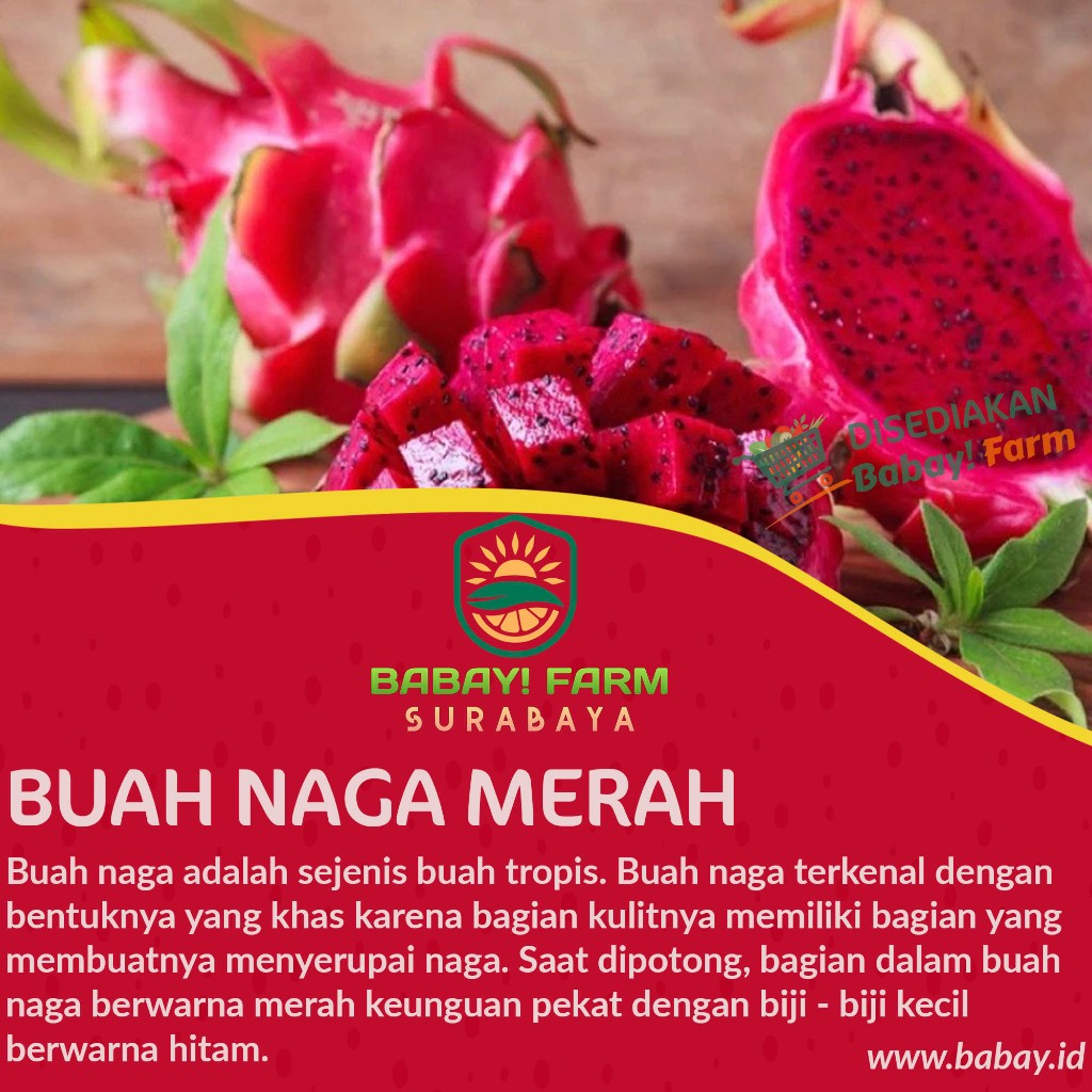 

buah naga merah putih 500 gr / 1 kg