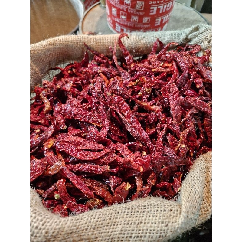 

CABAI KERITING KERING