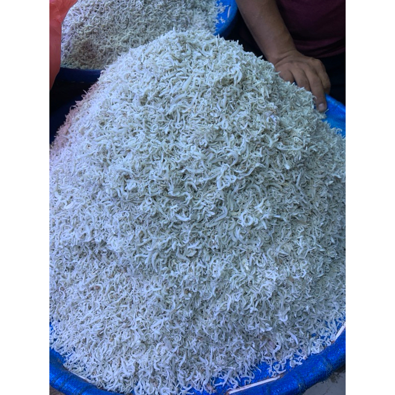 

Ikan Teri Nasi Medan