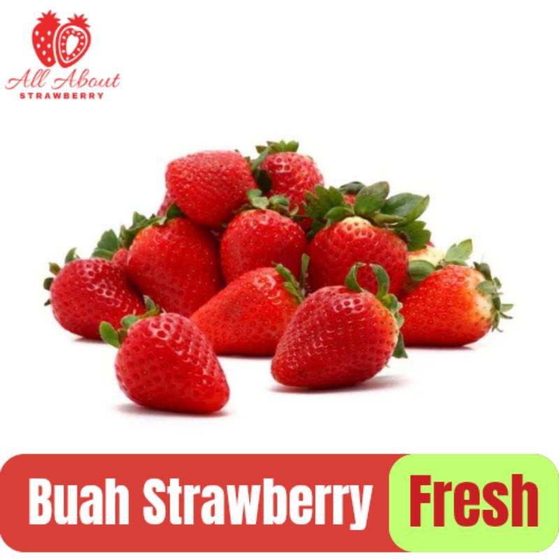 

Buah Strawberry Fresh