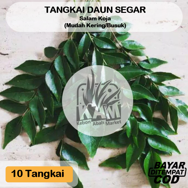 

Daun Kari Salam Koja Per 10 Tangkai Temurui Bisa COD