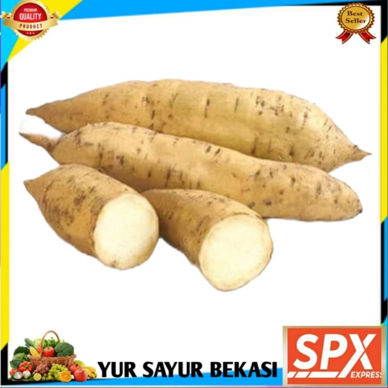 

Ubi Putih 500gr