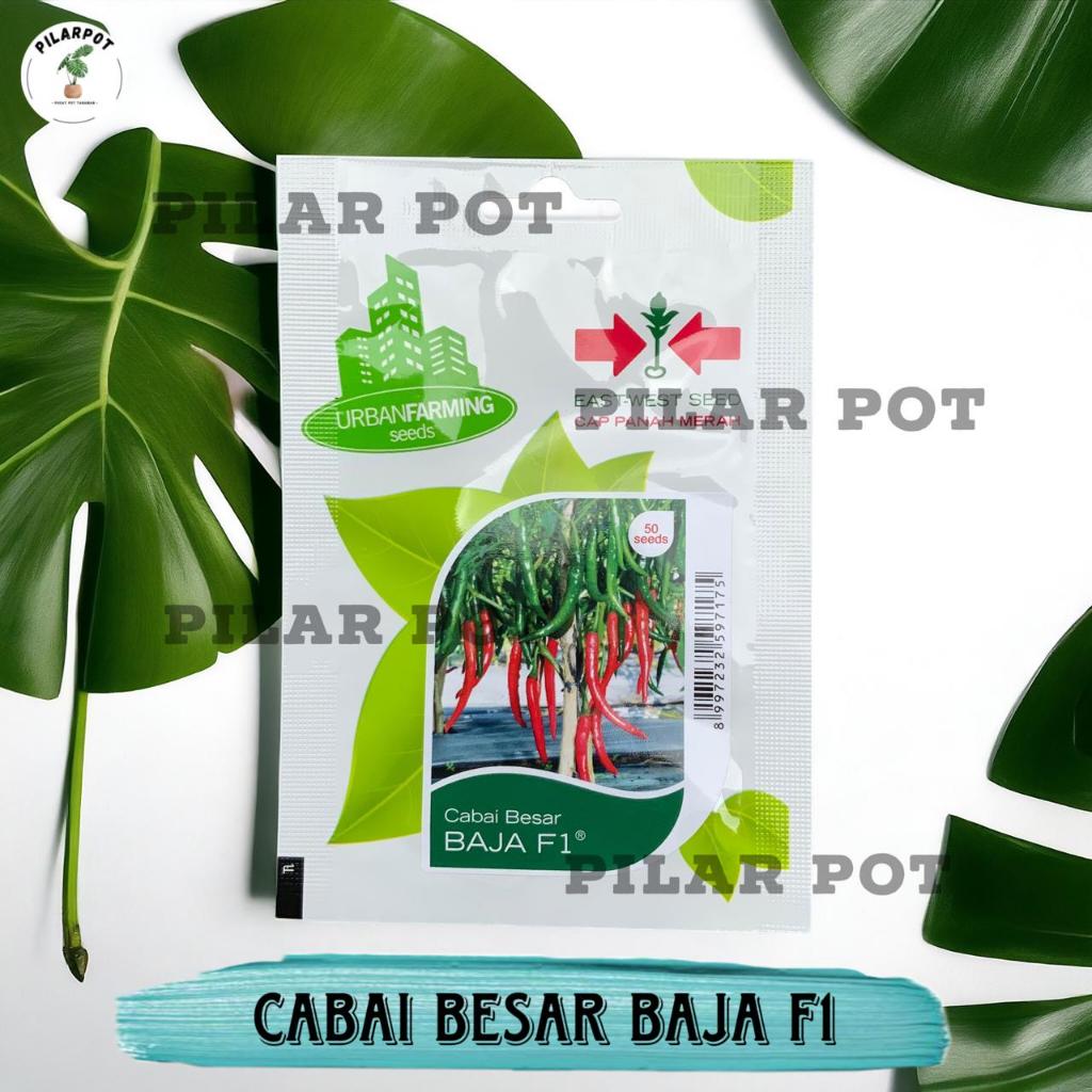 Benih Bibit Cabe Besar Baja F1 Cap Panah Merah - CABAI BESAR BAJA F1 EAST WEST SEED