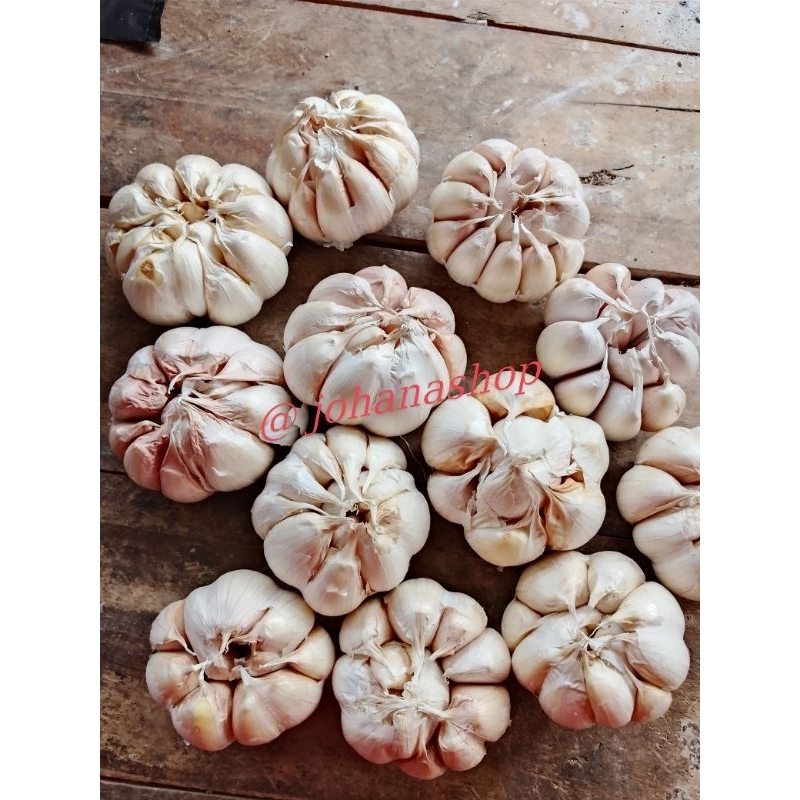 

bawang honan bersih super ( diameter +- 5 cm keatas )