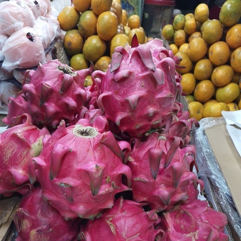 

buah naga 1pcs berat 1kg