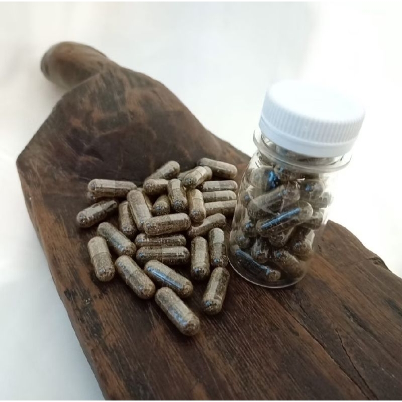 [READY LANGSUNG KIRIM] EMPOT HITAM AYAM KAPSUL PERBOTOL ISI 100 ORIGINAL HERBAL MURNI TANPA CAMPURAN