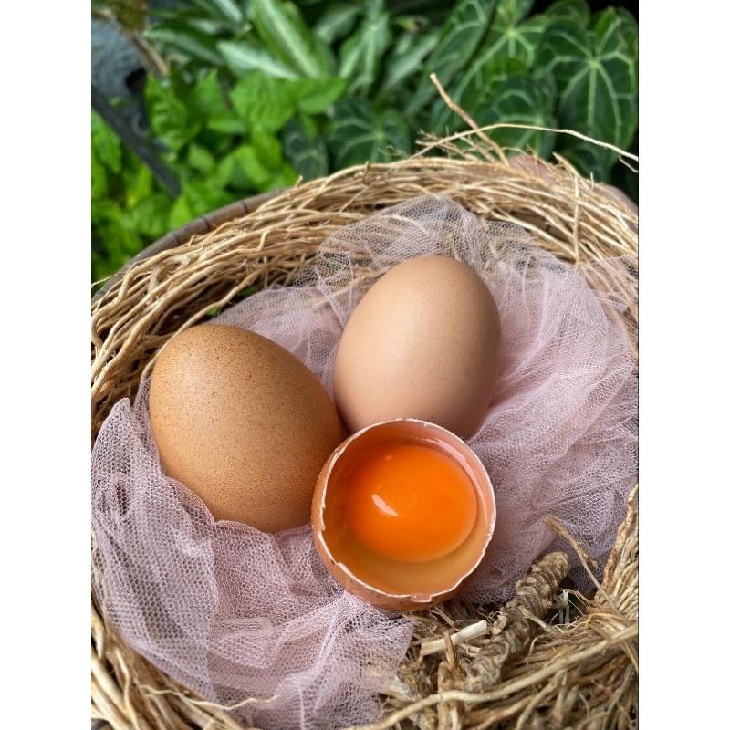 

telur omega 3 dan 6 super premium isi 10