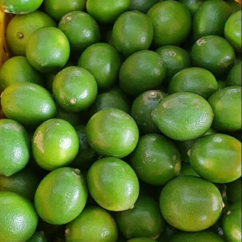 

JERUK LEMON PREMIUM HARGA GROSIR 1 KG