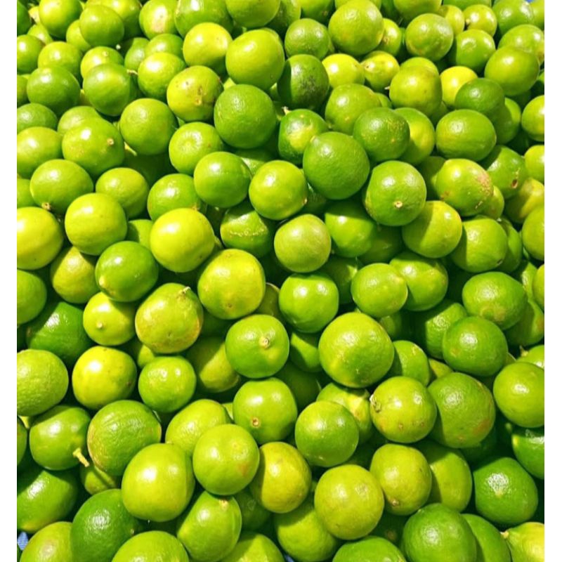 

jeruk nipis 1/2 kilo