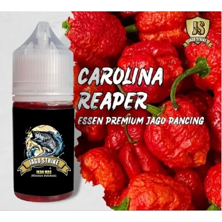 Essen Aroma Cabe Carolina Reaper Biang Asli Import 100% Jago Strike-333