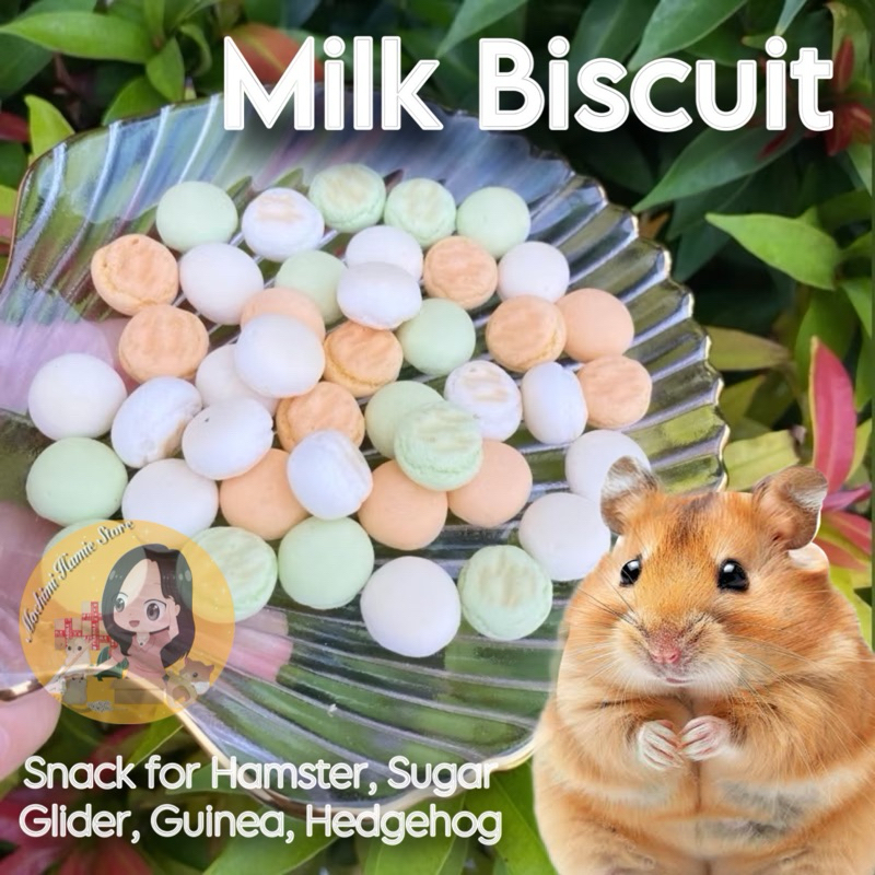 Snack Milk Biscuit Import | Cemilan Hamster Biskuit Rasa Susu untuk Hamster Guinea Marmut Sugar Glid