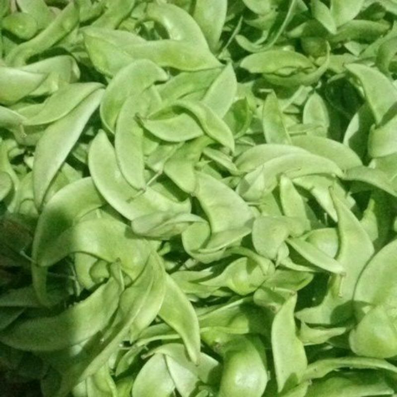 

Sayur Koro segar 1kg