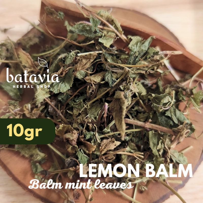 

Lemon Balm Leaves Balm Mint Tea Daun Lemon Mint Melissa Officinalis