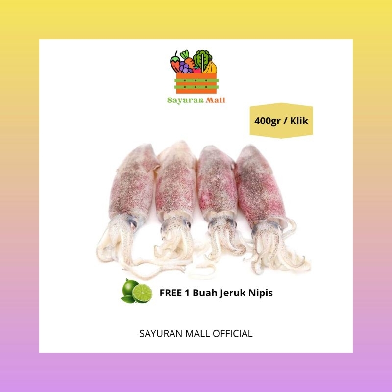 

400gr Cumi-Cumi Basah | Seafood | SAYURANMALL