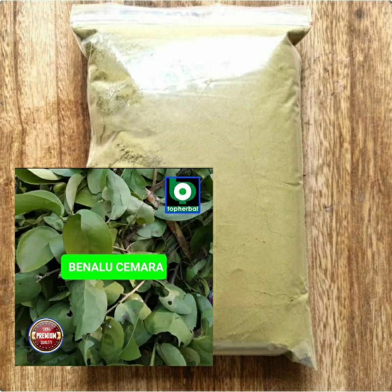 

Bubuk Benalu Cemara 1000 Gram Kering Hijau Organik Super Premium
