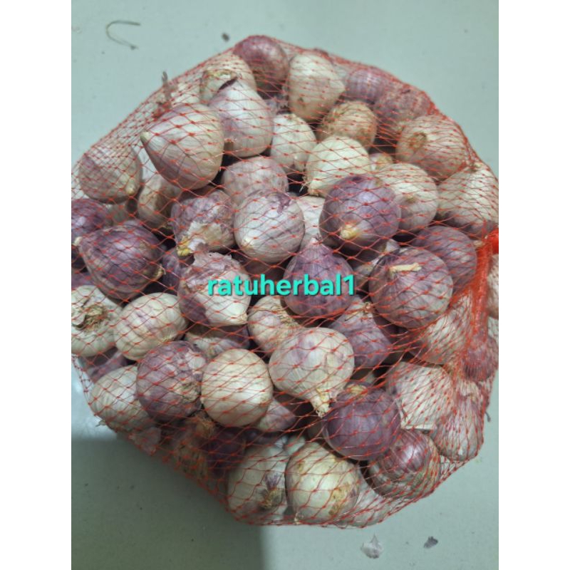 

BAWANG PUTIH TUNGGAL BAWANG LANANG 100GRAM
