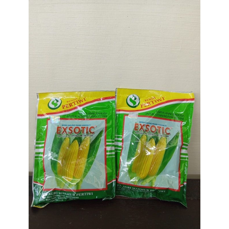 

JAGUNG MANIS EXSOTIC