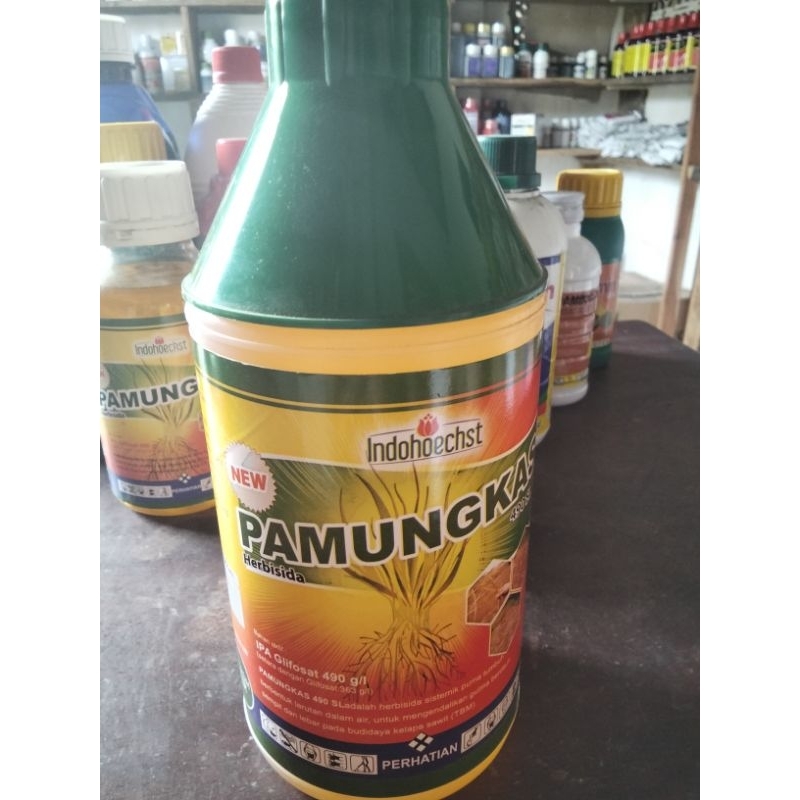 PAMUNGKAS490SLHERBISIDA