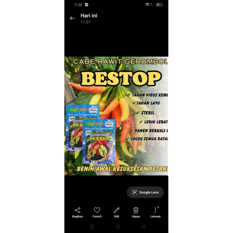 

Benih cabe rawit gerombol Bestop isi 10 gram (2000) benih
