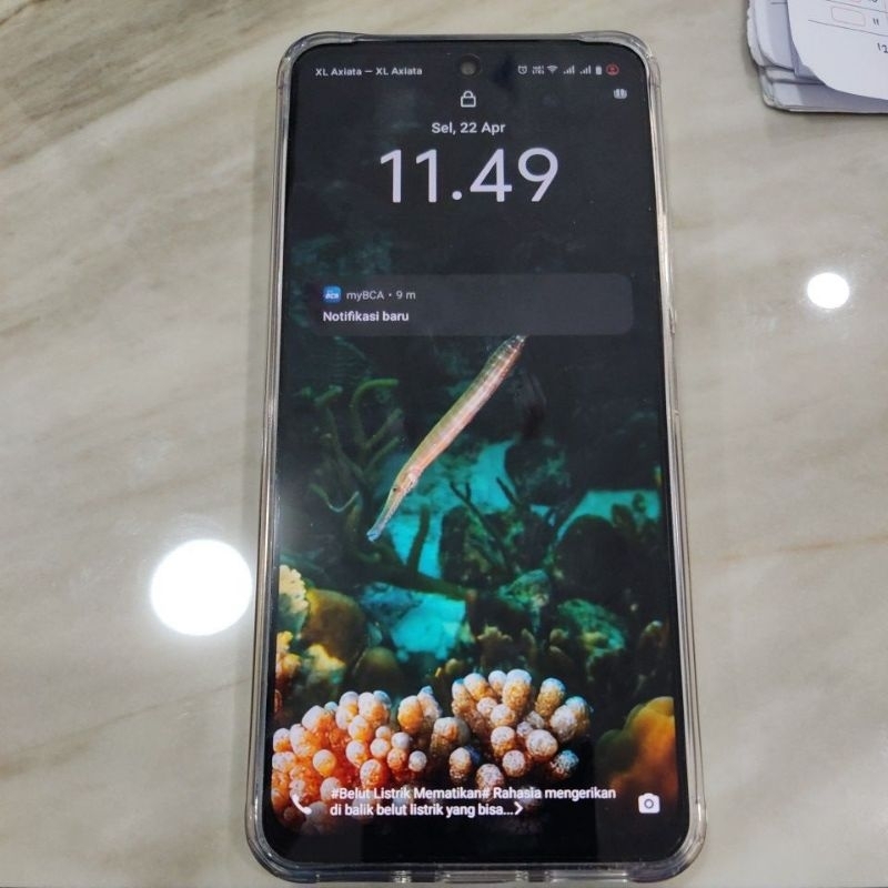 HP VIVO Y 29