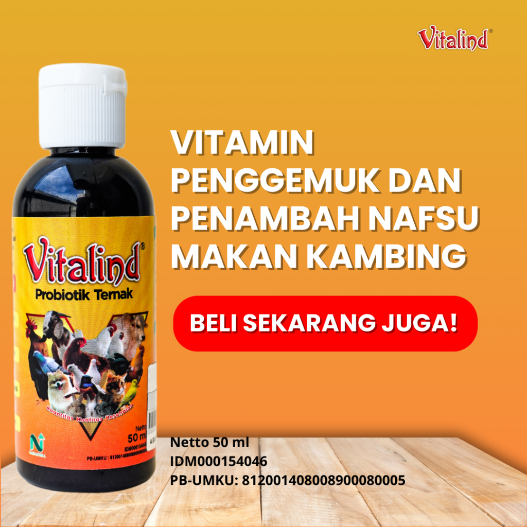 Vitamin Agar Kambing Cepat Gemuk Penggemuk Obat Penambah Nafsu Makan Kambing Domba Obat Cacing Terna
