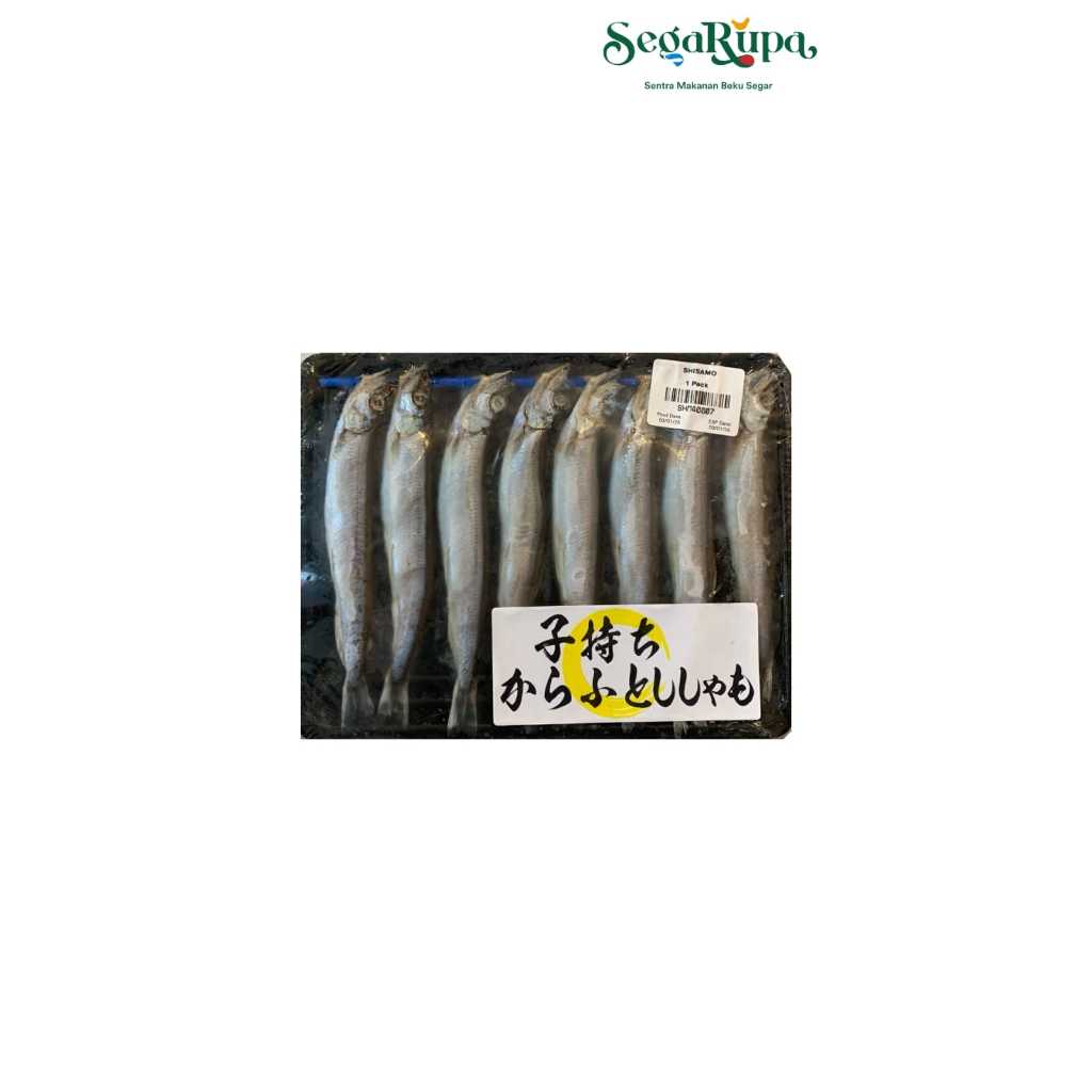

IKAN SHISAMO - SEGARUPA FROZEN & TOKO DAGING