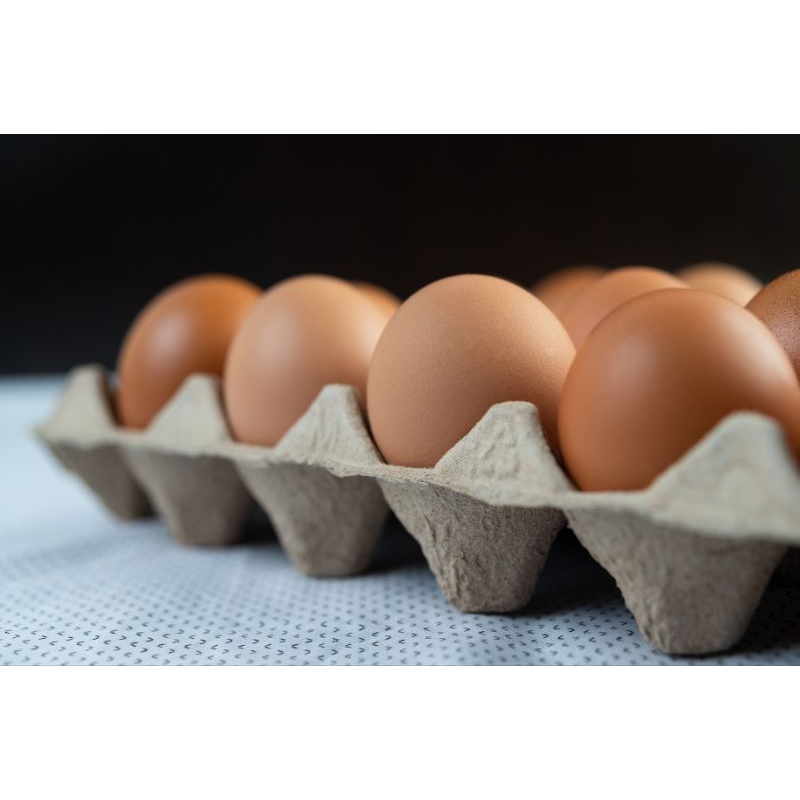 

Telur Ayam Negeri 1 Kg