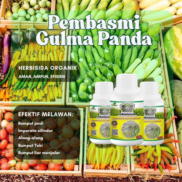 Kill Grass Panda Bubuk Racun Rumput Pembasmi Gulma Bambu dan Pohon Besar Tanpa Merusak Tanaman