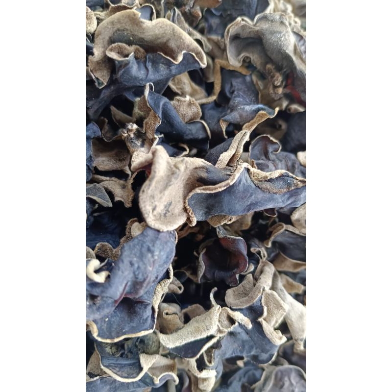

Jamur Kuping kemasan 35gr